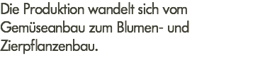Die Produktion wandelt sich vom Gemüseanbau zum Blumen- und Zierpflanzenbau.